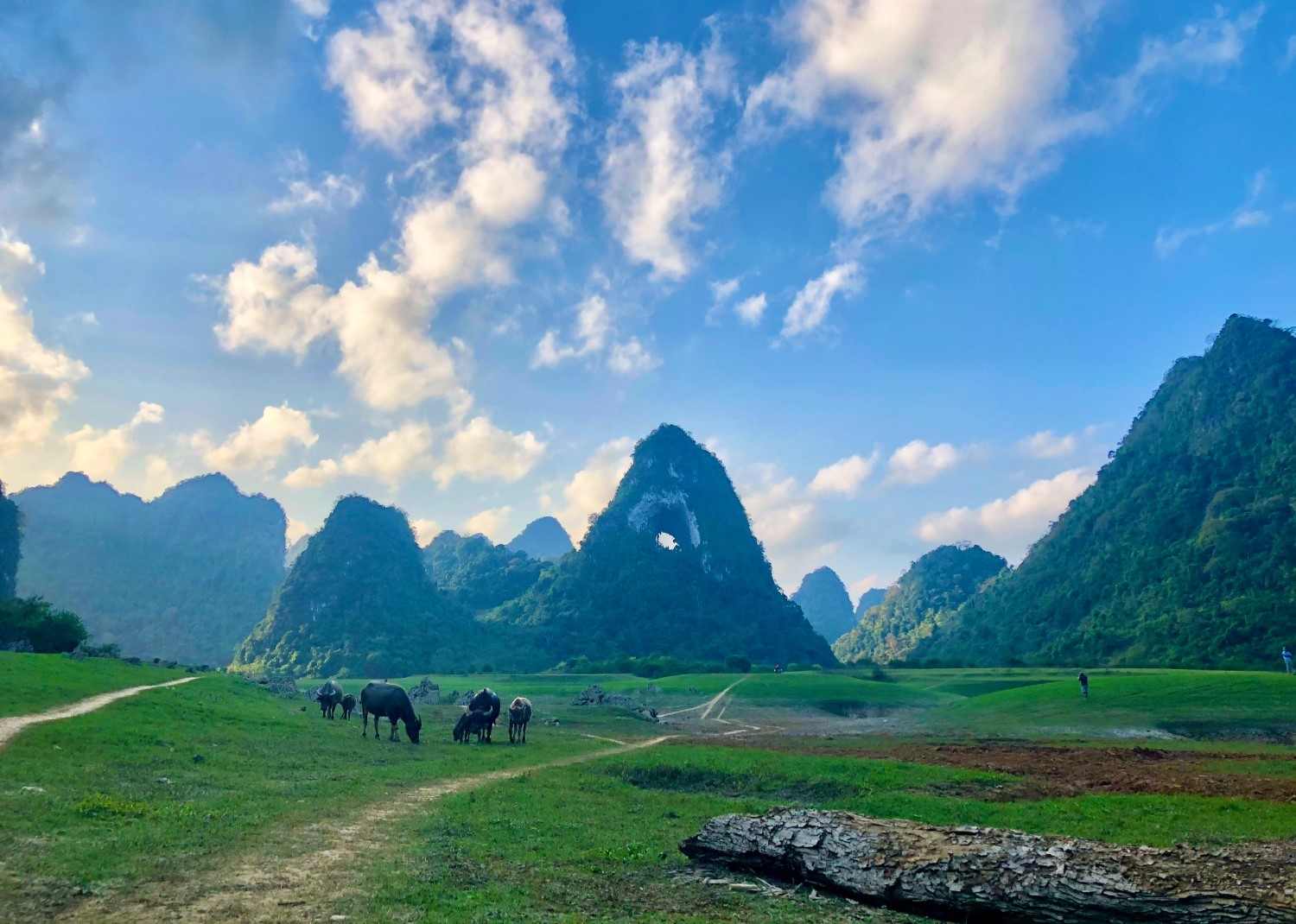 KHI THẾ HỆ TRẺ BẮT ĐẦU CHỌN CAO BẰNG ĐỂ "CẮM RỄ"