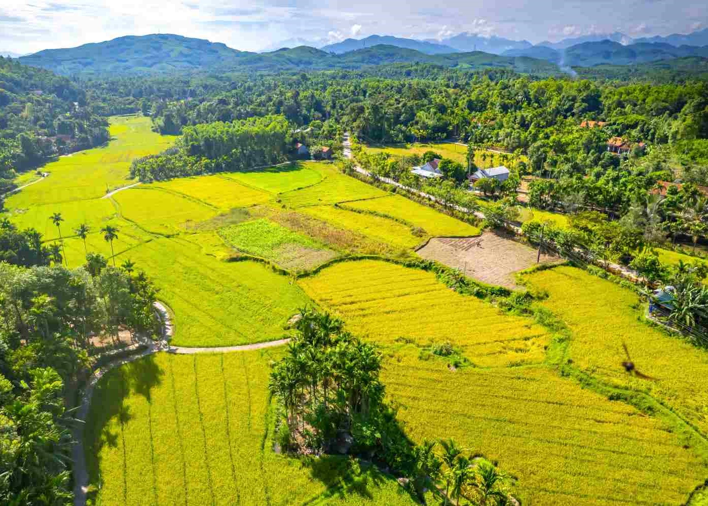 Kinh nghiệm đầu tư đất nền vùng ven: Chiến lược an toàn và sinh lời bền vững