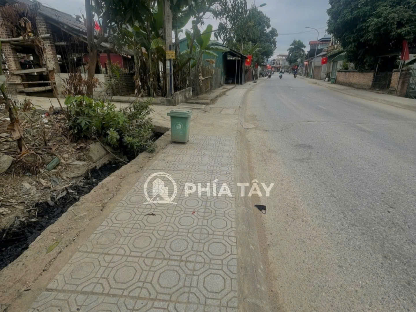 BÁN ĐẤT TRỒNG CÂY GIẢ NGẲM NGỌC XUÂN