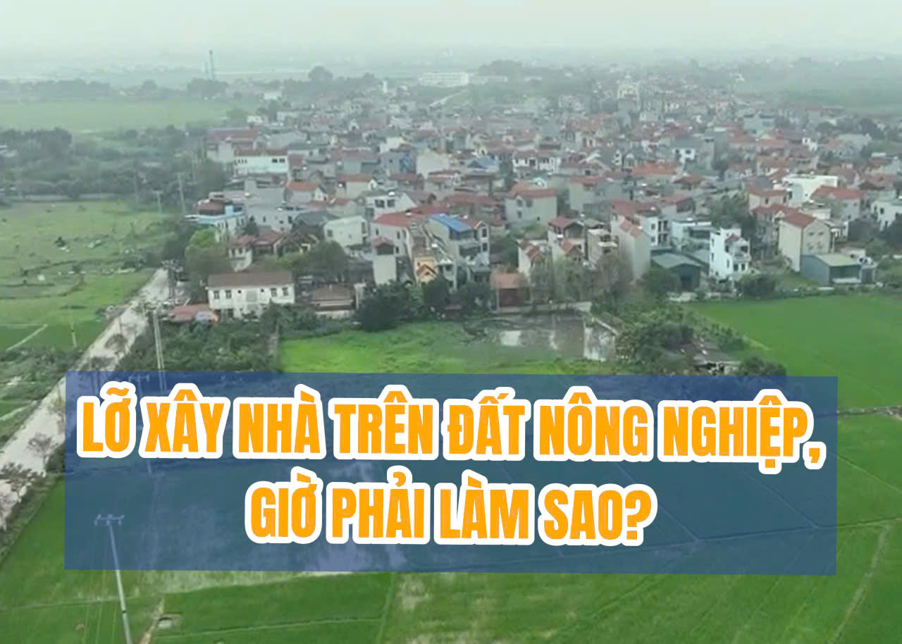 LỠ XÂY NHÀ TRÊN ĐẤT NÔNG NGHIỆP, GIỜ PHẢI LÀM SAO?
